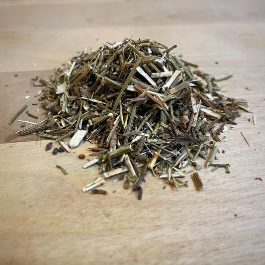 Blue Vervain  (Verbena officinalis) 1 oz