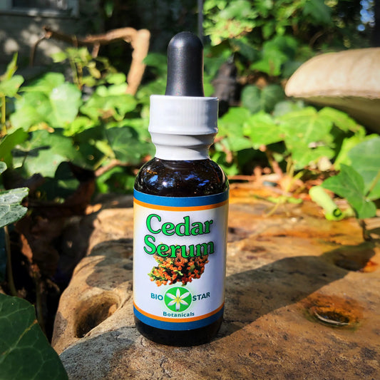 Cedar Serum