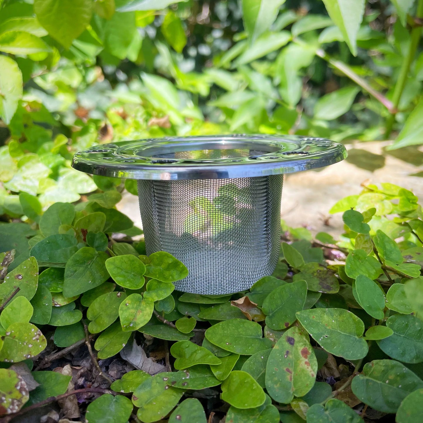 Celestial Tea Infuser Basket
