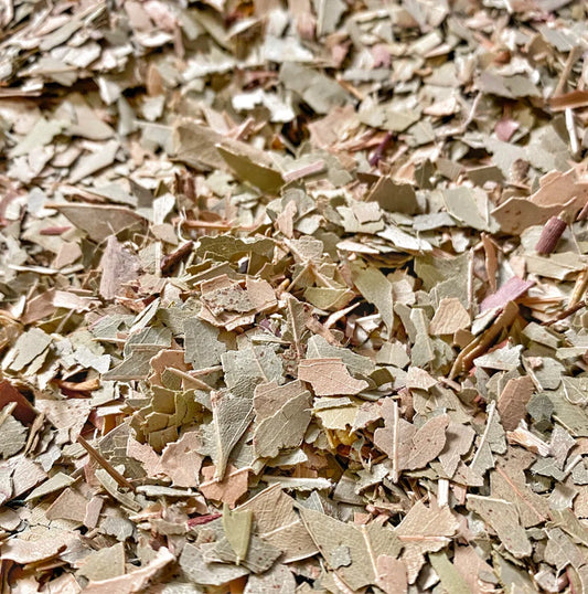 Eucalyptus Leaf 1 oz