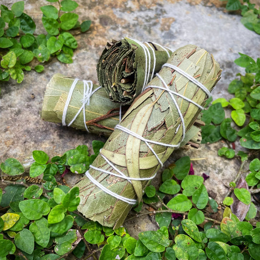 Eucalyptus smudge 4”