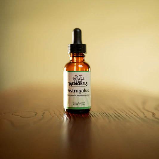 Astragalus Root Tincture