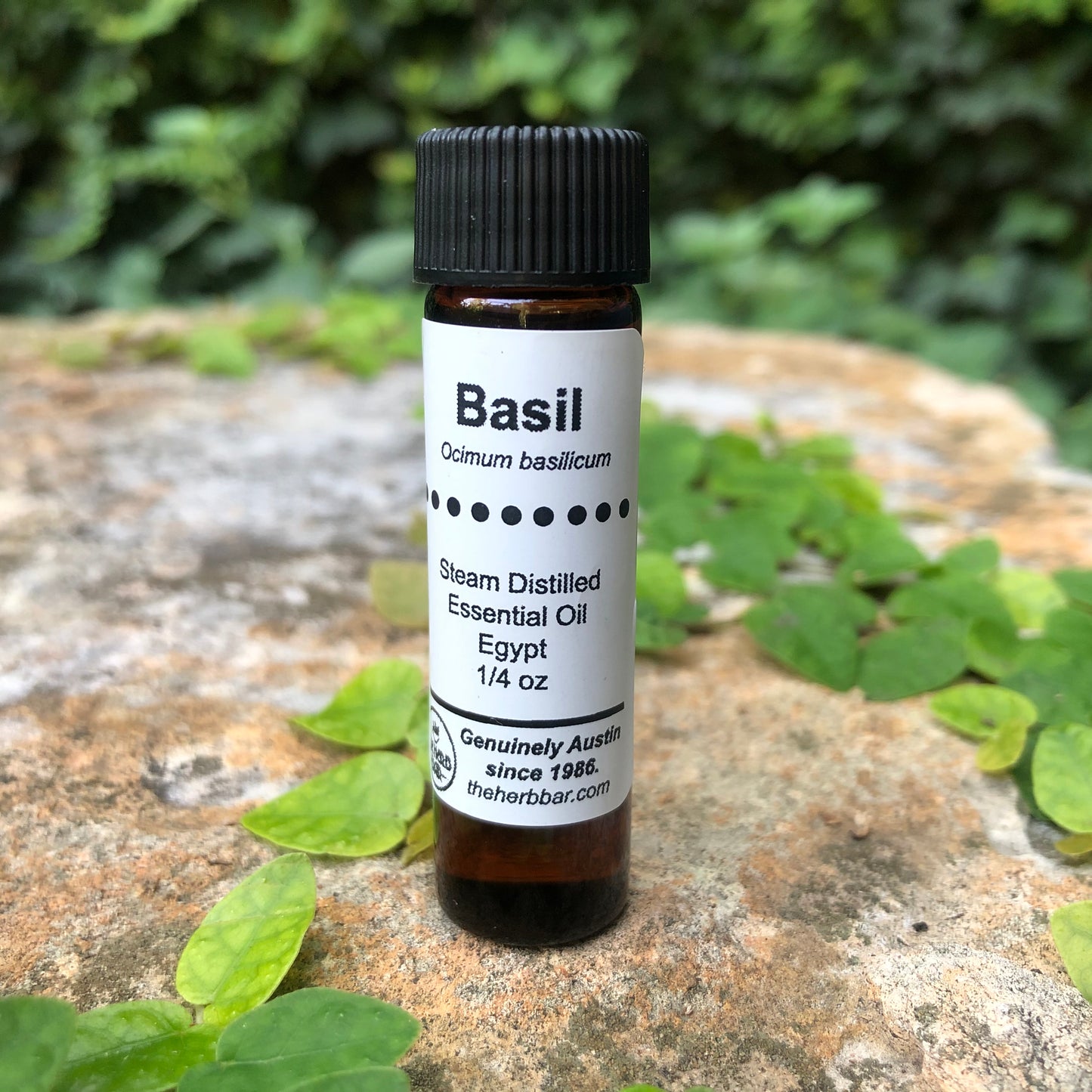 Basil Essential Oil 1/4 oz.