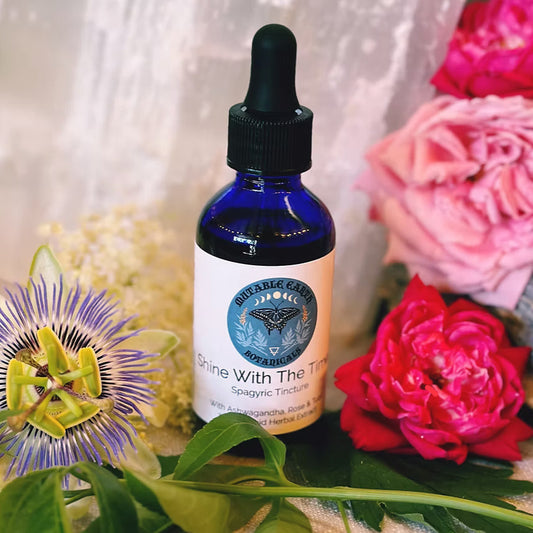 Shine with the Times by Mutable Earth