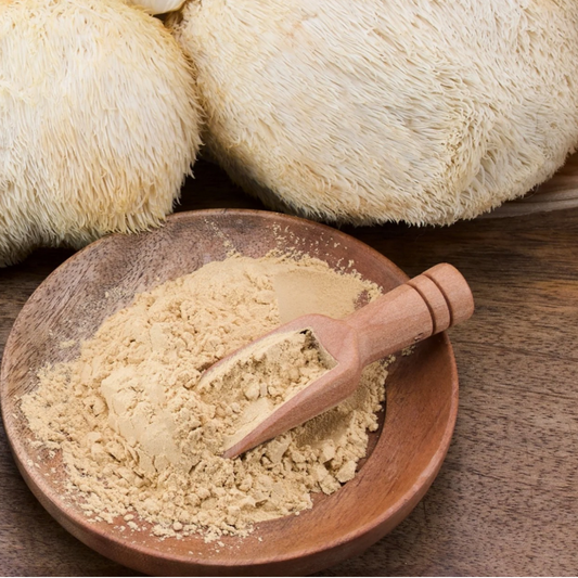 Hi-Fi Mycology Lions Mane Powder 2 oz tin