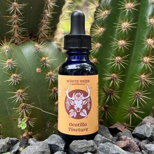 Ocotillo Tincture