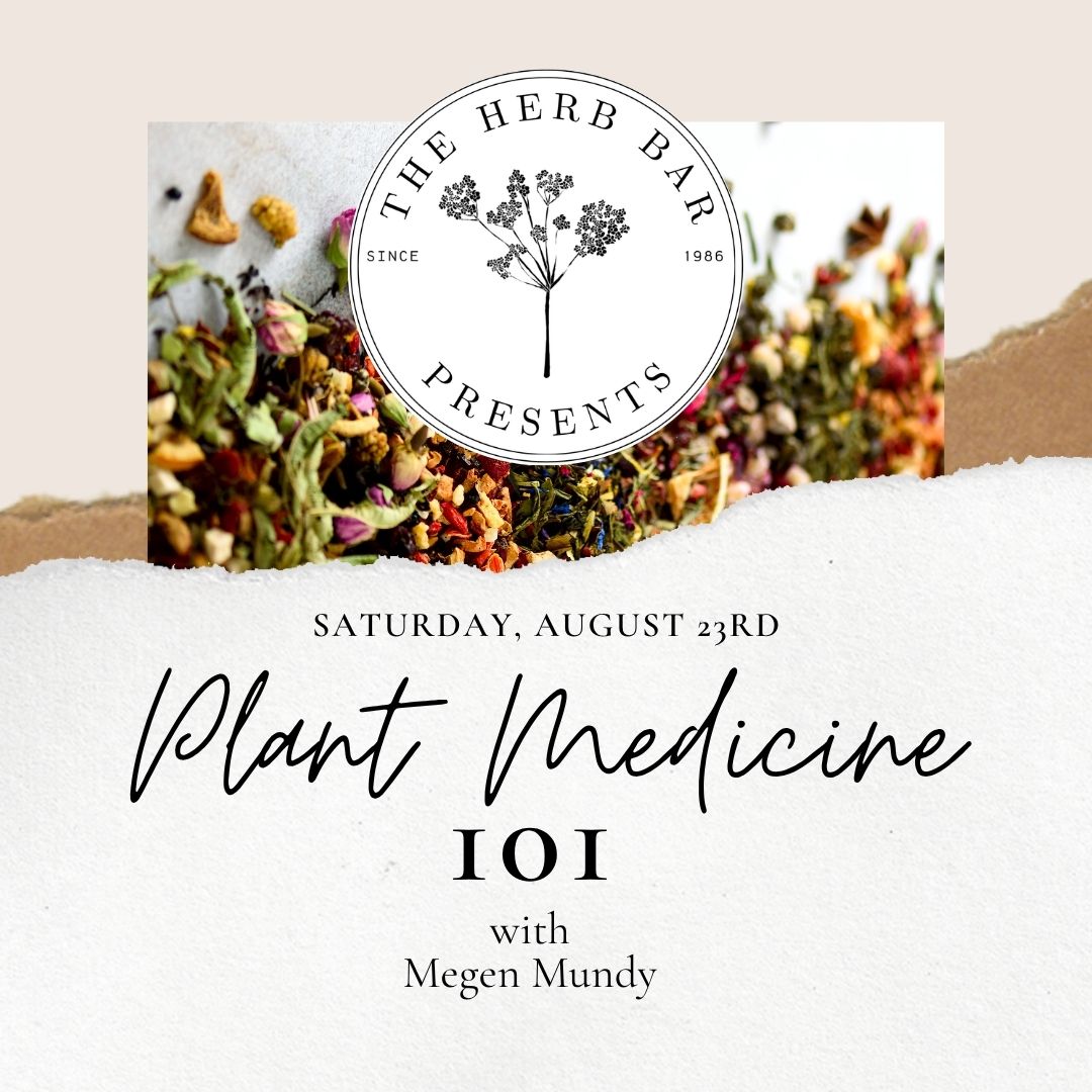 Plant Medicine 101 w/ Megen Mundy