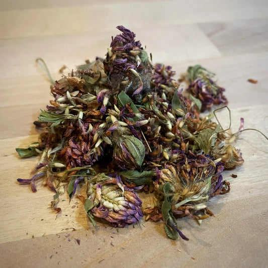 Red Clover Leaf and Blossoms 1 oz