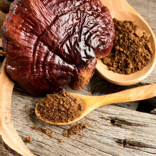 Hi-Fi Reishi Powder 1 oz