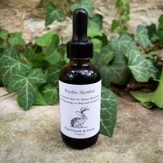 Psychic Slumber - Wild Hearth and Home