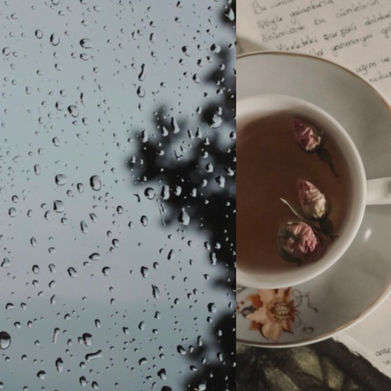 for a rainy day..