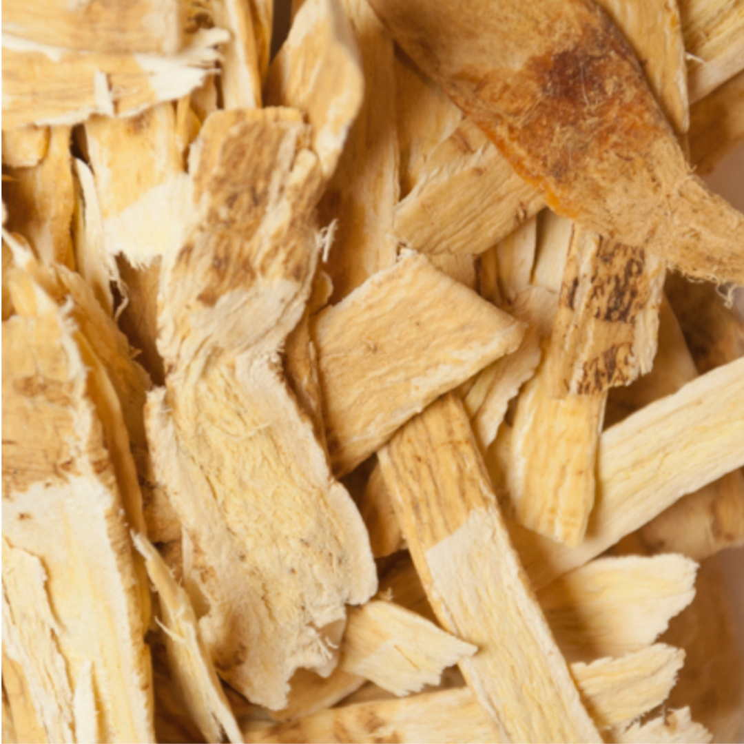 Astragalus Root 1 oz
