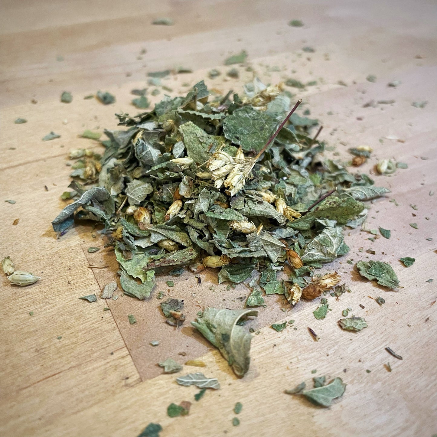 Calea Mexican Dream Herb