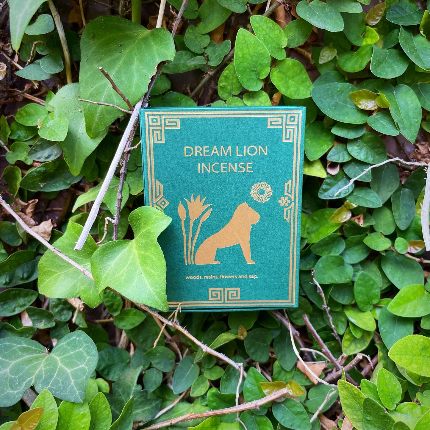 Dream Lion incense Mayan Copal + Sage