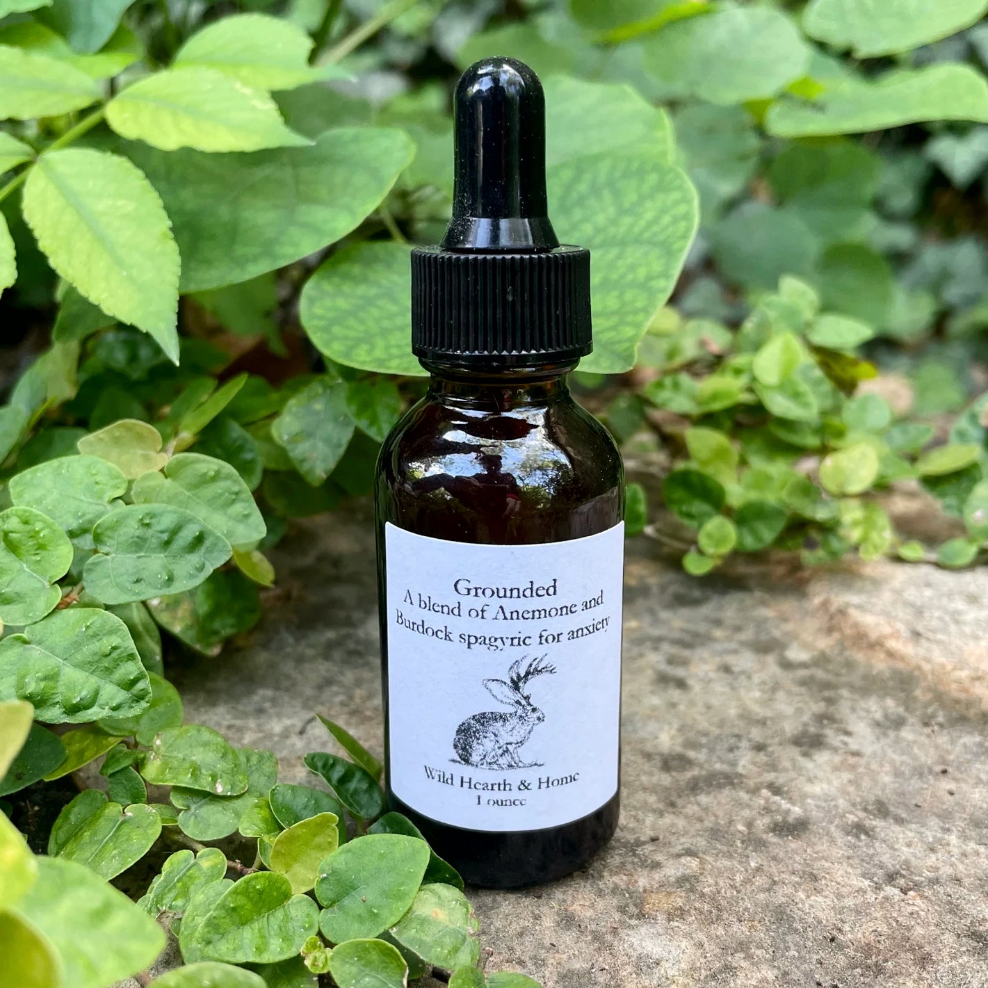 Grounded - Wild Hearth and Home