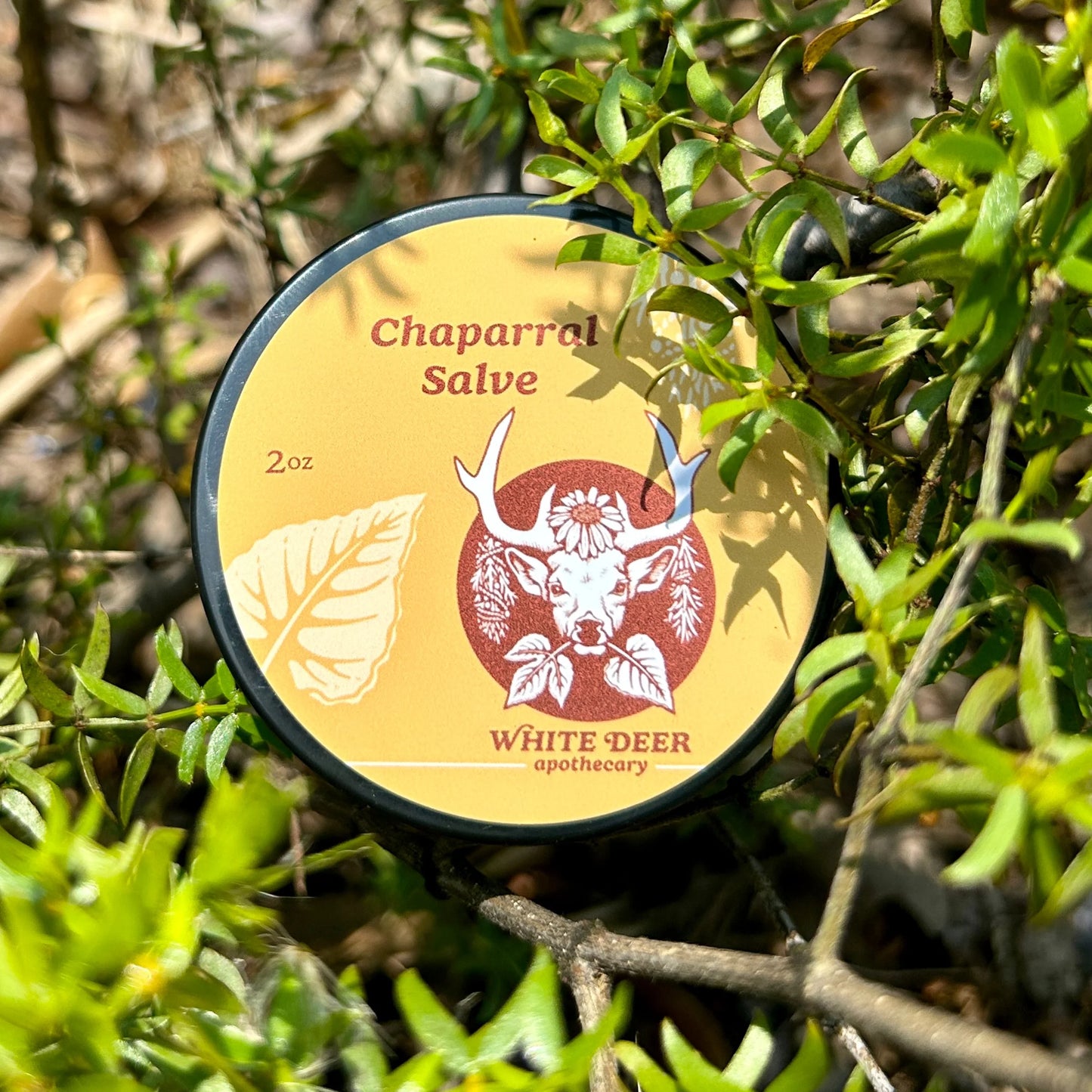 Chaparral Skin Salve