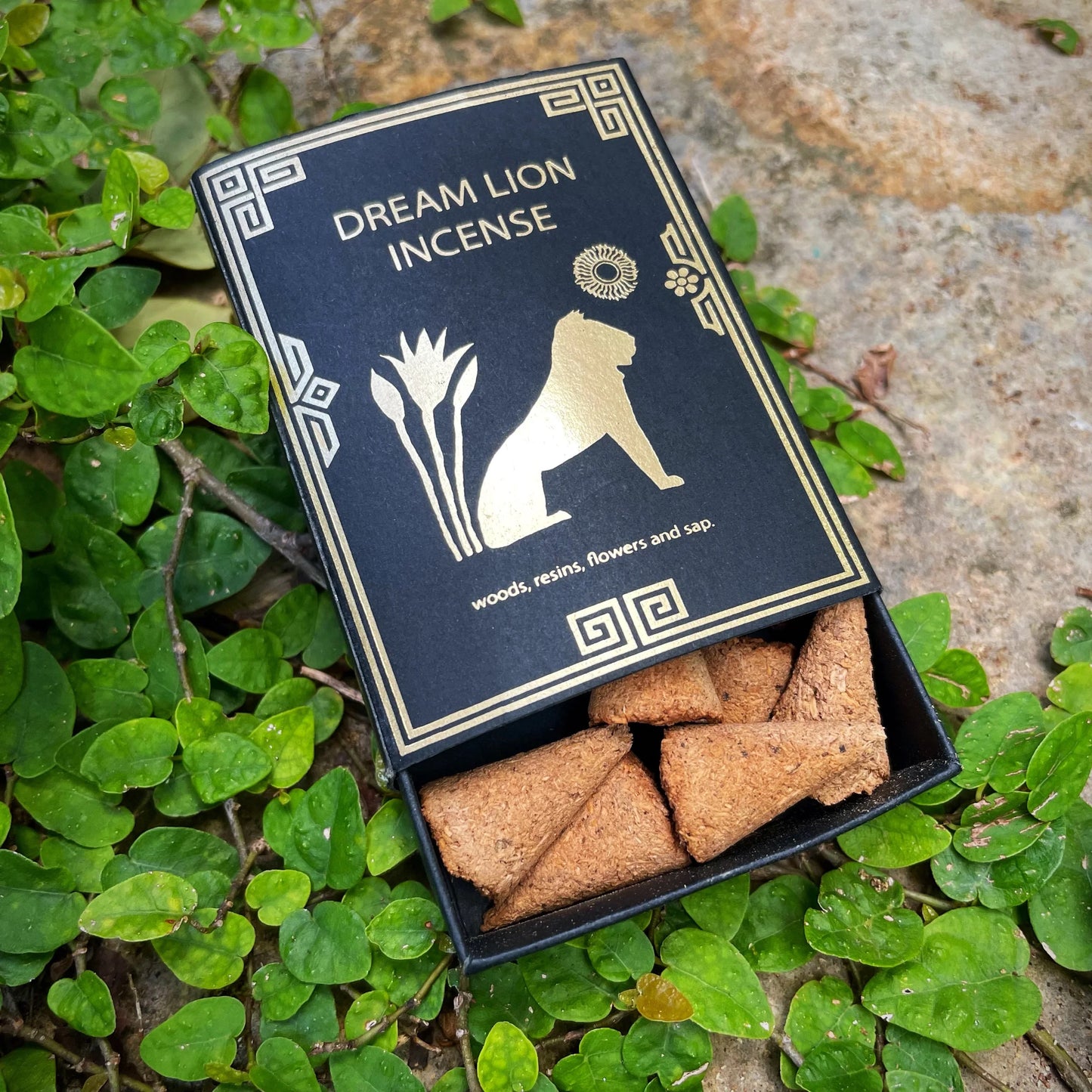 Dream Lion The Wish Granter Cones
