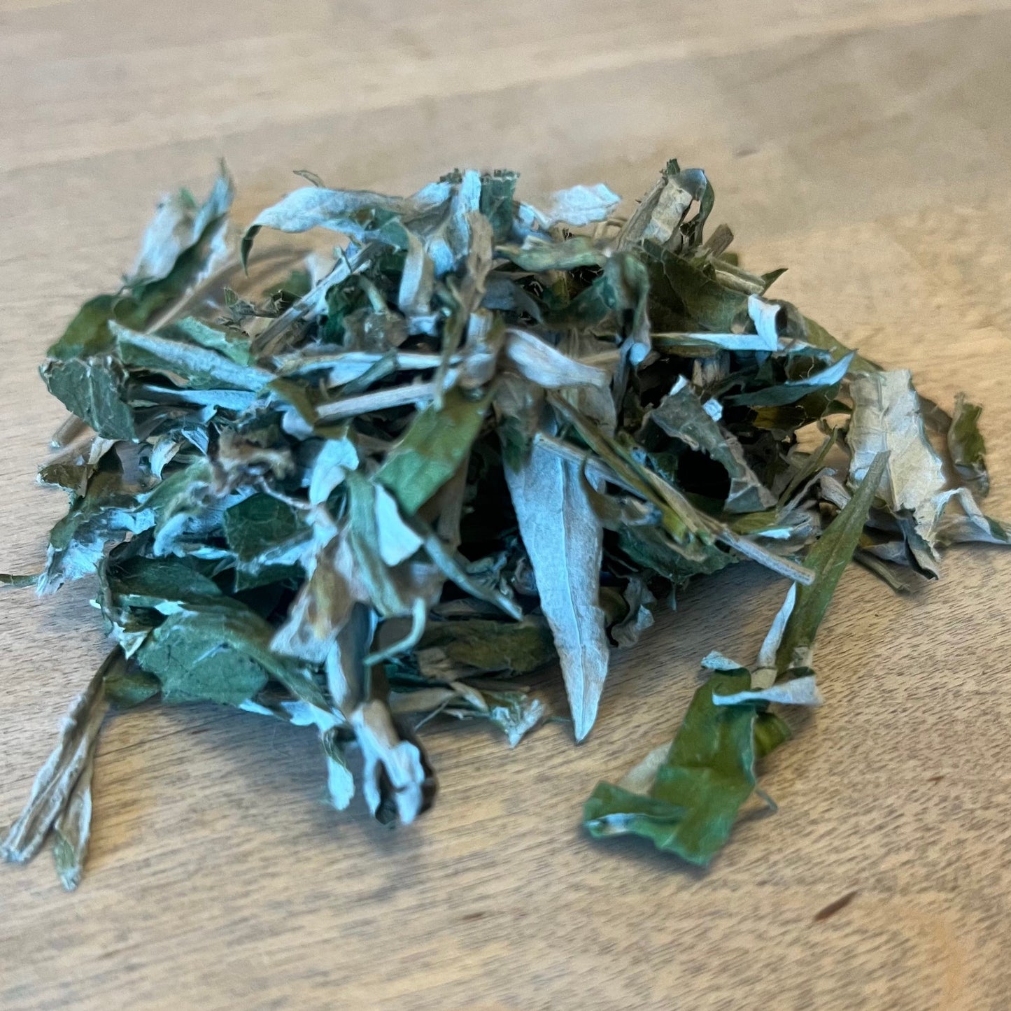 Mugwort *Local* Organic