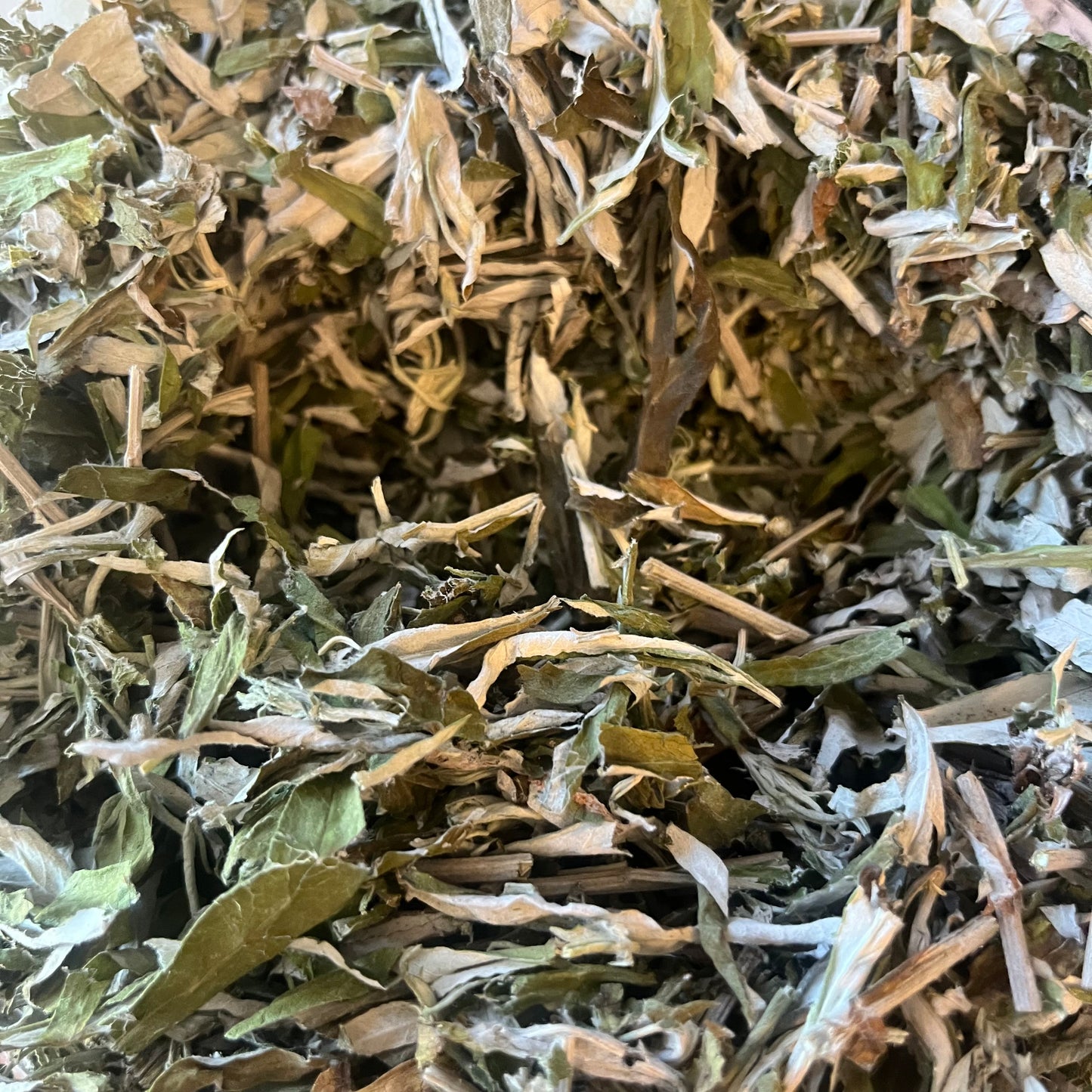 Mugwort *Local* Organic