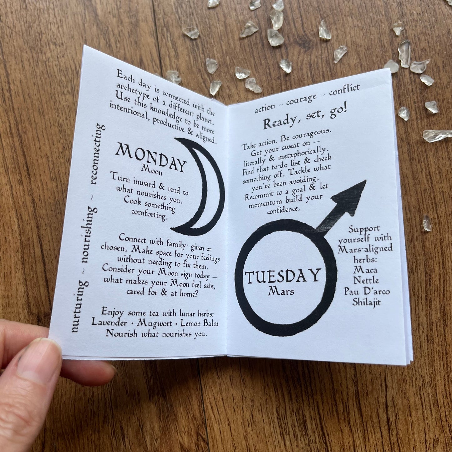 Planetary Days Mini Zine