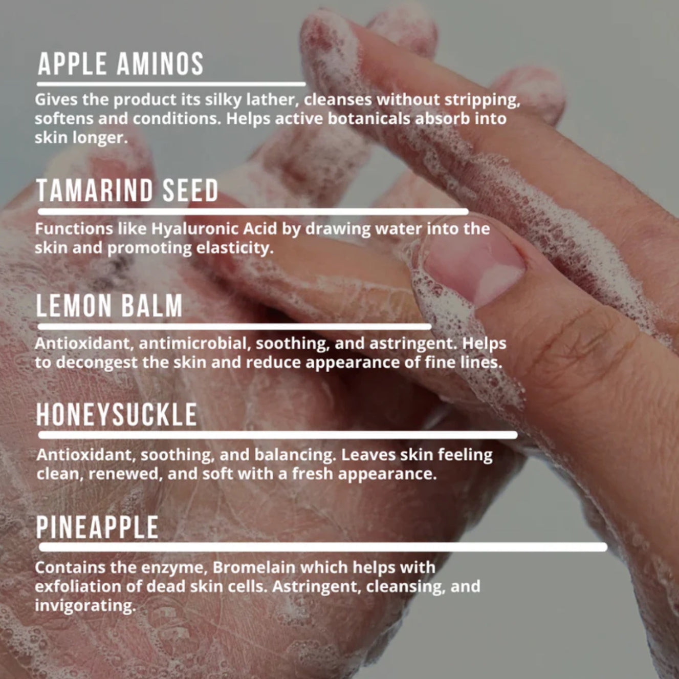 Fruit + Flora Micellar Cleansing Tonic Terra Stoma