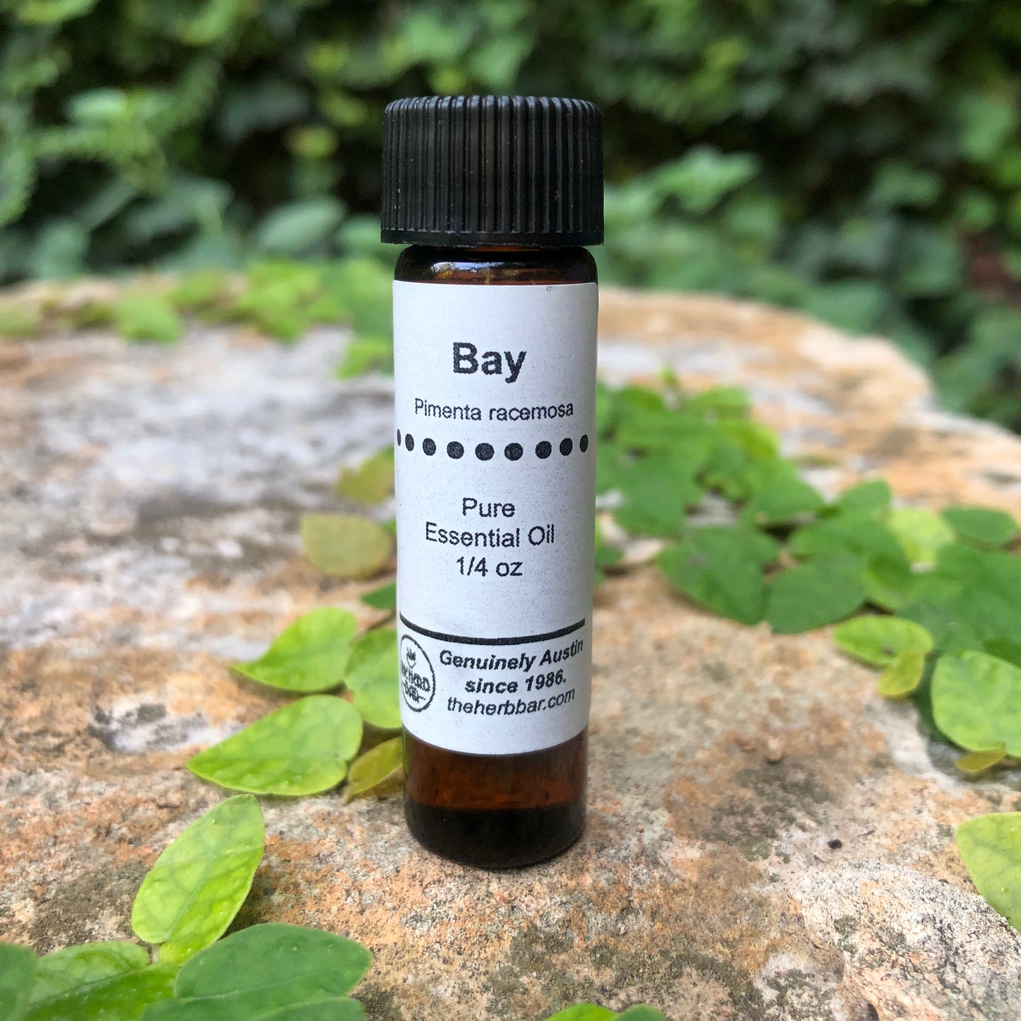 Bay Essential Oil 1/4oz
