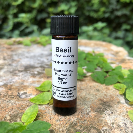 Basil Essential Oil 1/4 oz.