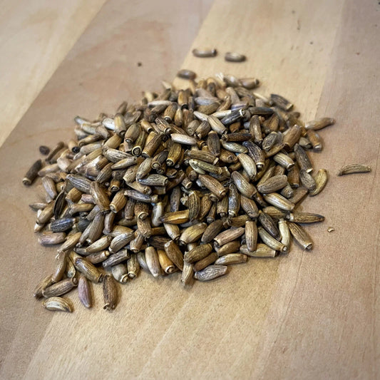 Milk Thistle Seed 1 oz