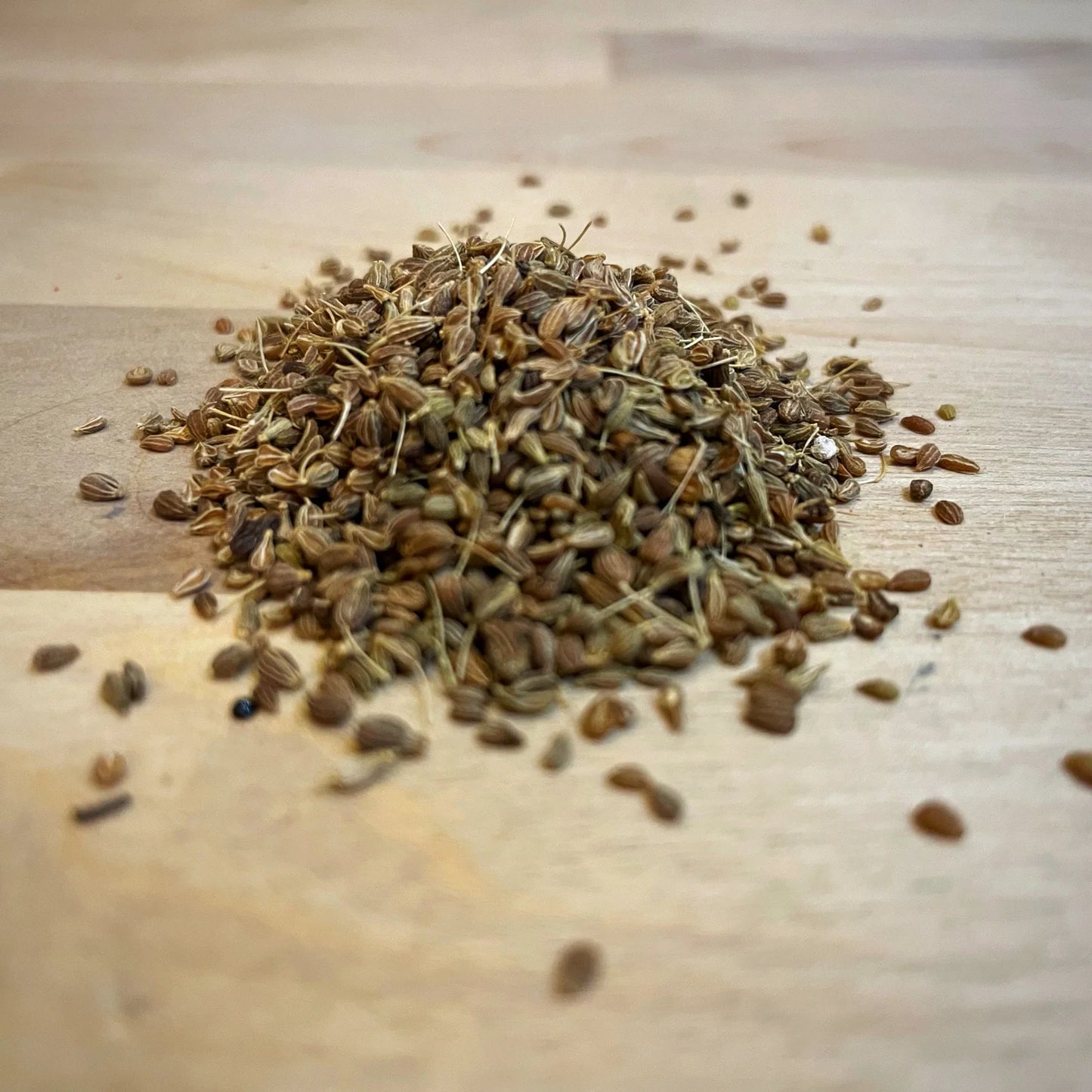 Anise Seed 1 oz.