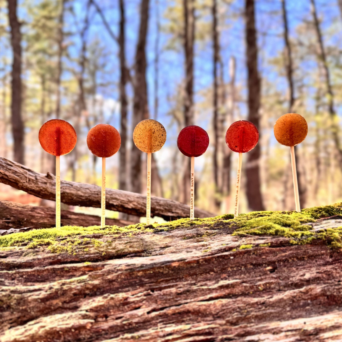 Plants & Planets Lollipops