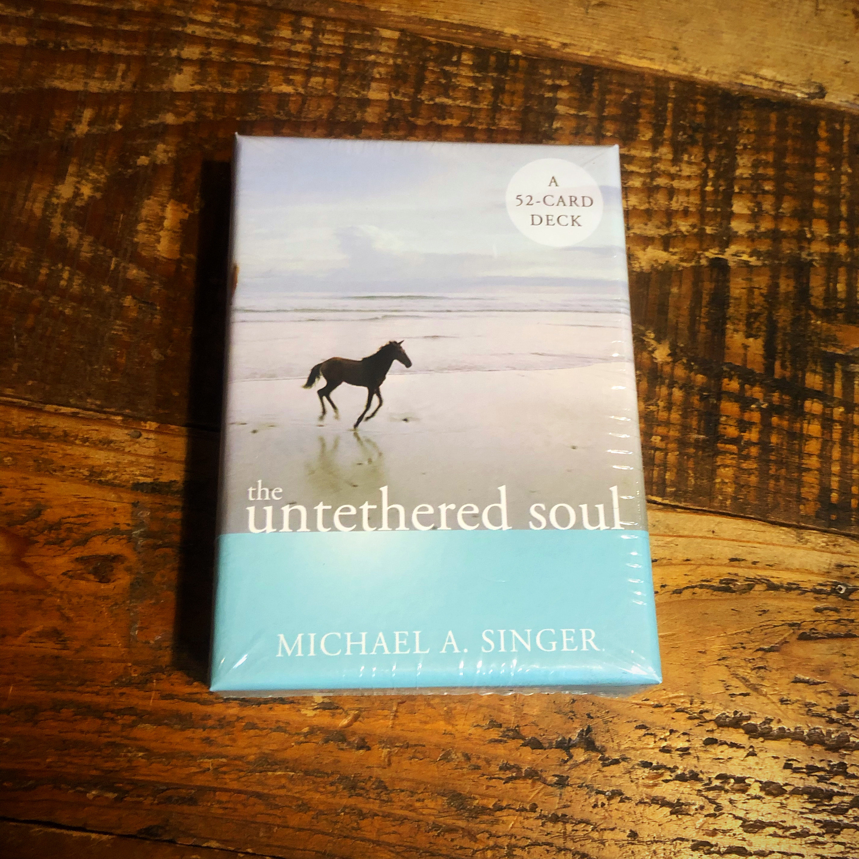 the untethered soul – michael a. singer